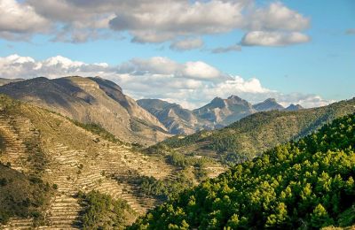 Zabytkowa willa na sprzedaż Relleu, Walencja, Zdjęcie 3/24
