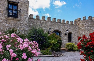 Zabytkowa willa na sprzedaż Relleu, Walencja, Zdjęcie 6/24