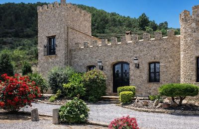 Zabytkowa willa na sprzedaż Relleu, Walencja, Zdjęcie 1/24