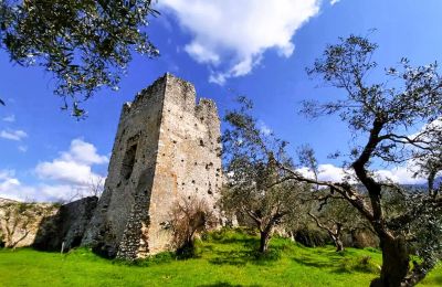 Zamek na sprzedaż Lacjum:  Wieża pałacowa