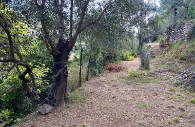 Wiejski dom na sprzedaż Conscente, Liguria, Zdjęcie 9/17