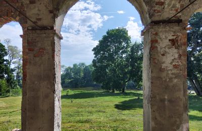 Pałac na sprzedaż Więsławice, Kujawsko-pomorskie, Zdjęcie 6/21