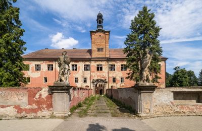 Pałac na sprzedaż Kounice, Zámek Kounice, Středočeský kraj, Widok z przodu
