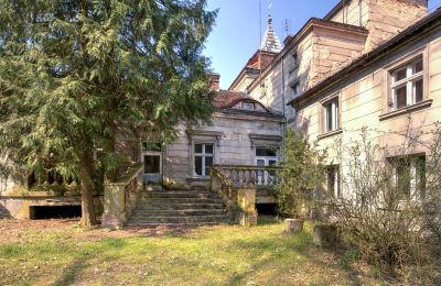 Dwór na sprzedaż Żegrowo, Żegrowo 1, Wielkopolskie,, Widok z tyłu