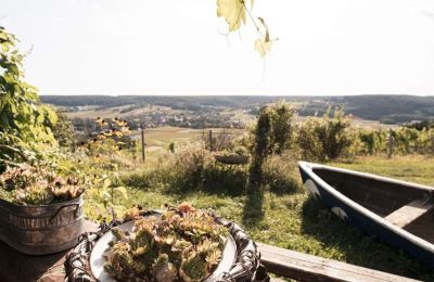 Zabytkowa nieruchomość na sprzedaż 8271 Bad Waltersdorf, Styria, Zdjęcie 18/20