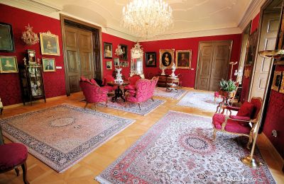 Pałac na sprzedaż Kraj Vysočina, Salon