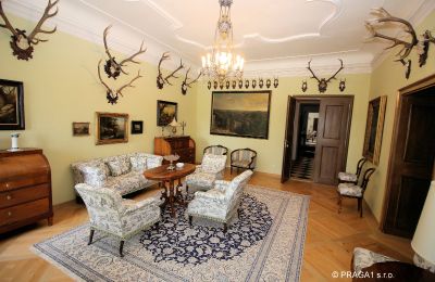 Pałac na sprzedaż Kraj Vysočina, Zdjęcie 13/19