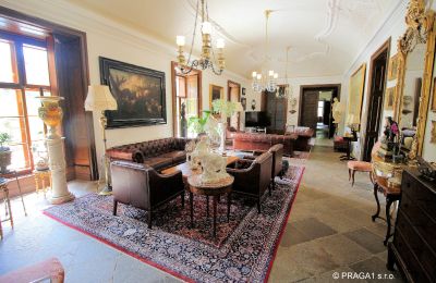 Pałac na sprzedaż Kraj Vysočina, Duża sala