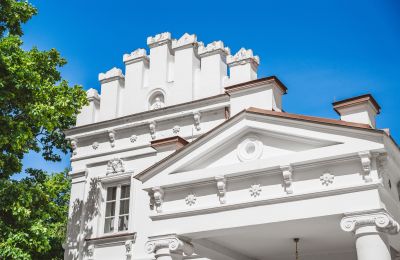 Dwór na sprzedaż 05-332 Żaków, Mazowieckie, Detale architektoniczne
