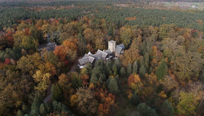 Pałac na sprzedaż Sośnie, Wielkopolskie,  Polska