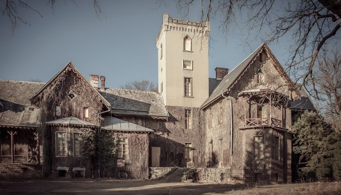 Pałac na sprzedaż Sośnie, Wielkopolskie,  Polska