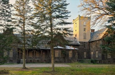 Pałac na sprzedaż Sośnie, Jana Sztolcmana 1, Wielkopolskie, Zdjęcie 8/9