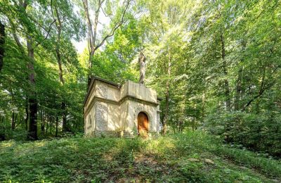 Dwór na sprzedaż Poręba Żegoty, Ruiny Dworu Szembeków, Małopolskie, Zdjęcie 16/20