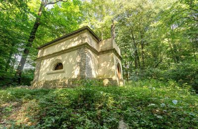 Dwór na sprzedaż Poręba Żegoty, Ruiny Dworu Szembeków, Małopolskie, Zdjęcie 17/20