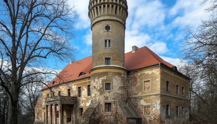 Pałac na sprzedaż Osetno, Dolnośląskie,  Polska