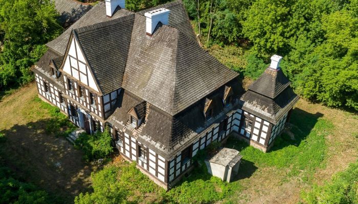 Dwór na sprzedaż Rogoźno, Wielkopolskie,  Polska