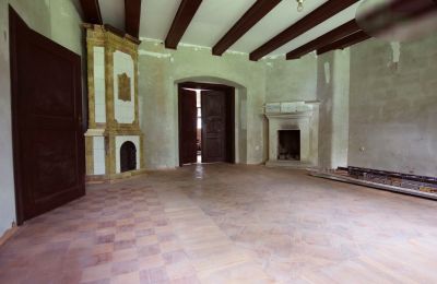 Dwór na sprzedaż Rogoźno, Dwór w Studzieńcu 28, Wielkopolskie, Zdjęcie 11/16