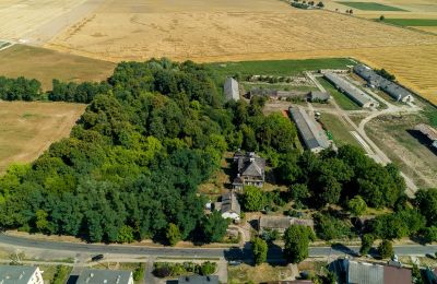 Dwór na sprzedaż Rogoźno, Dwór w Studzieńcu 28, Wielkopolskie, Położenie nieruchomości