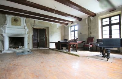 Dwór na sprzedaż Rogoźno, Dwór w Studzieńcu 28, Wielkopolskie, Zdjęcie 9/16
