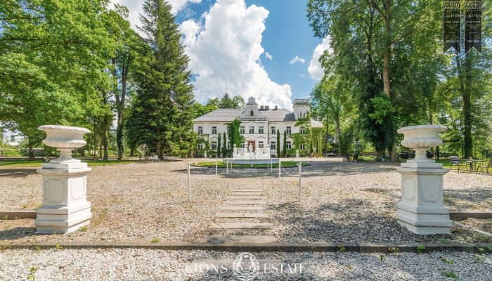 Dwór na sprzedaż Pstrokonie, Łódzkie,  Polska