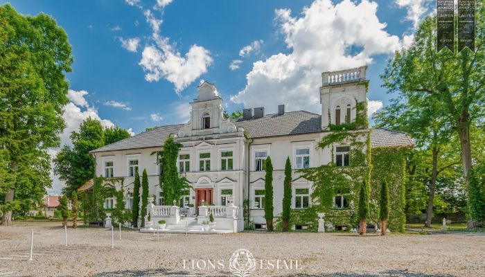 Dwór na sprzedaż Pstrokonie, Łódzkie,  Polska
