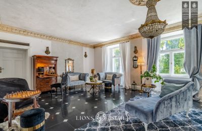 Dwór na sprzedaż Pstrokonie, Łódzkie, Zdjęcie 44/50