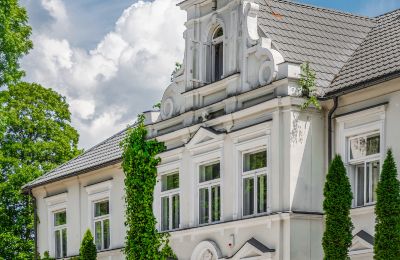 Dwór na sprzedaż Pstrokonie, Łódzkie, Zdjęcie 4/50