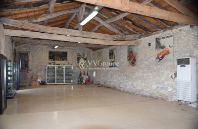 Pałac na sprzedaż Monflanquin, Nouvelle-Aquitaine, Oficyna
