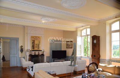 Pałac na sprzedaż Monflanquin, Nouvelle-Aquitaine, Salon