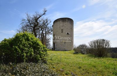 Pałac na sprzedaż Monflanquin, Nouvelle-Aquitaine, Wieża pałacowa