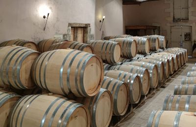 Pałac na sprzedaż Blaye, Nouvelle-Aquitaine, Piwnica na wino