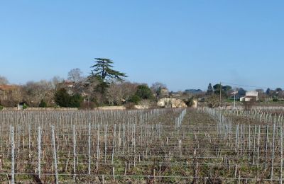 Pałac na sprzedaż Blaye, Nouvelle-Aquitaine, Zdjęcie 11/14