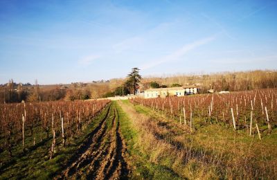 Pałac na sprzedaż Blaye, Nouvelle-Aquitaine, Zdjęcie 12/14