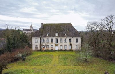 Pałac na sprzedaż Besançon, Bourgogne-Franche-Comté, Widok zewnętrzny