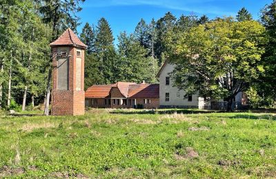Wiejski dom na sprzedaż Zegrze Pomorskie, Zachodniopomorskie, Zdjęcie 6/7