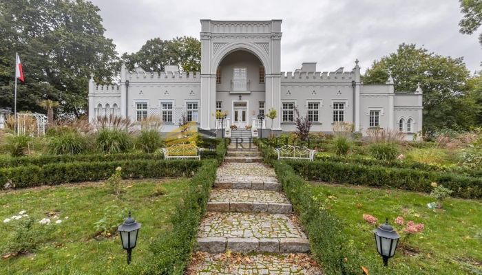 Dwór na sprzedaż Naruszewo, Mazowieckie,  Polska