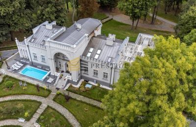 Dwór na sprzedaż Naruszewo, Mazowieckie, Zdjęcie 5/25