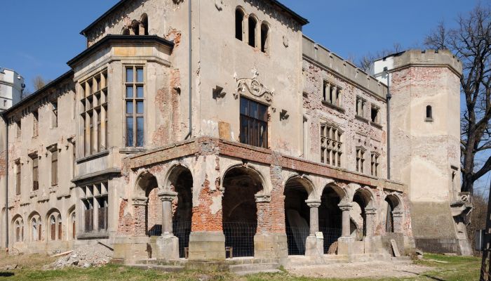 Zamek na sprzedaż Zagórzany, Małopolskie,  Polska