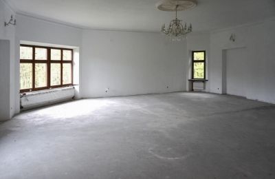 Zamek na sprzedaż Zagórzany, Małopolskie, Widok wnętrza