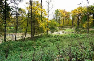 Zamek na sprzedaż Zagórzany, Małopolskie, Jezioro/staw