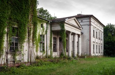 Pałac na sprzedaż Żegocin, Wielkopolskie,, Widok zewnętrzny