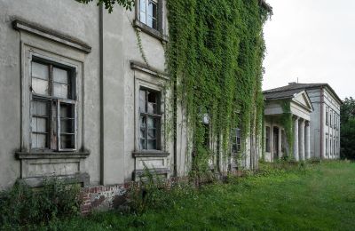 Pałac na sprzedaż Żegocin, Wielkopolskie,, Zdjęcie 4/4