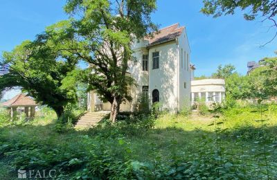 Zabytkowa willa na sprzedaż 99510 Apolda, Lessingstraße 62, Turyngia, Działka