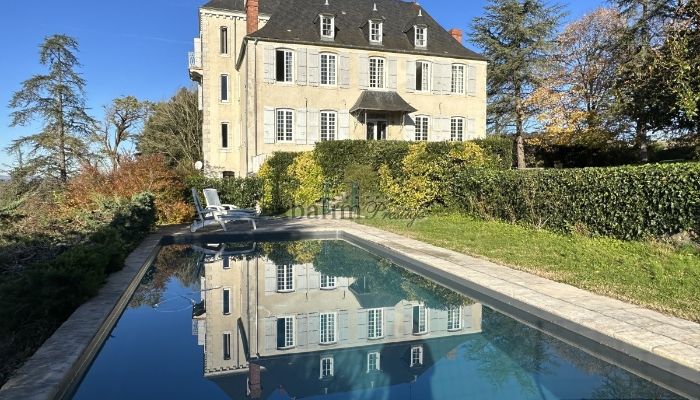 Dwór na sprzedaż Pau, Nouvelle-Aquitaine,  Francja