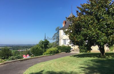 Dwór na sprzedaż Pau, Nouvelle-Aquitaine, Zdjęcie 18/23