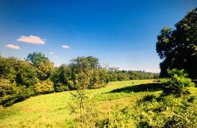 Dwór na sprzedaż Pau, Nouvelle-Aquitaine, Zdjęcie 19/20