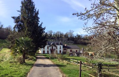 Dwór na sprzedaż Pau, Nouvelle-Aquitaine, Wjazd