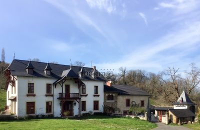 Dwór na sprzedaż Pau, Nouvelle-Aquitaine, Widok zewnętrzny