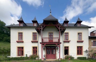 Dwór na sprzedaż Pau, Nouvelle-Aquitaine, Dwór
