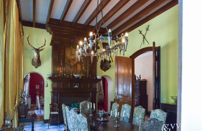 Dwór na sprzedaż Villeneuve-sur-Lot, Nouvelle-Aquitaine, Salon